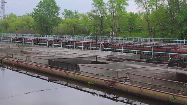 小星渔场在一条淡水河上，平移录像视频下载