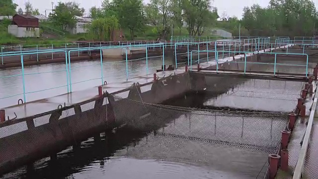 小星渔场在一条淡水河上，平移录像视频下载