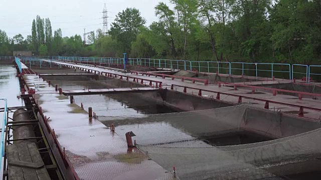 淡水河上的浮桥鲟鱼养殖场，拍摄视频视频下载