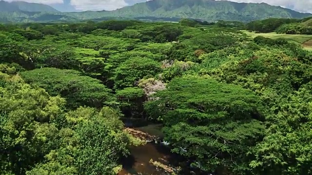 鸟瞰热带雨林中的惊人瀑布视频素材