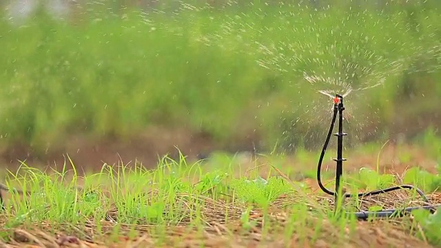 花园灌溉用洒水车浇灌草坪视频素材