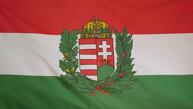 匈牙利盾形纹章旗帜真实织物的特写视频下载