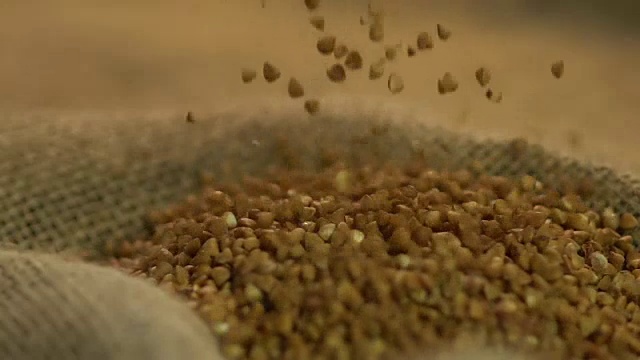 优质黑麦落灰袋，农商视频下载