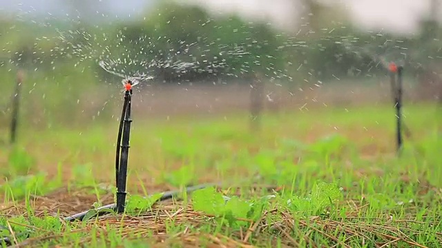 花园灌溉用洒水车浇灌草坪视频素材