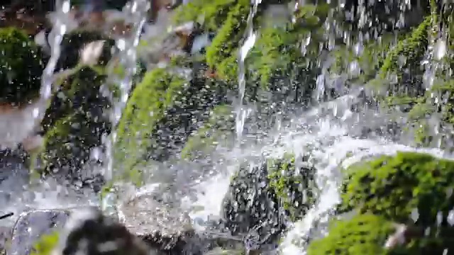 近距离的泡沫河水和滴在绿色的石头与苔藓视频下载