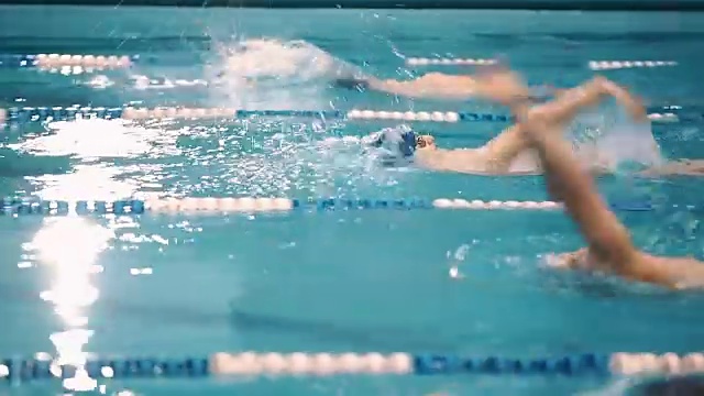 游泳池里的游泳比赛视频素材