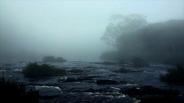 黄昏，迷雾莫测的河流笼罩在令人毛骨悚然的雾中。视频素材