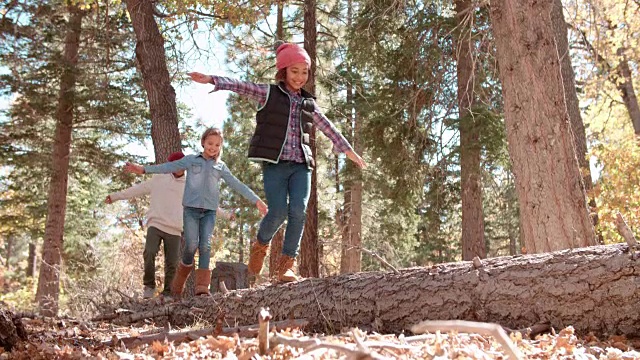 三个孩子在森林里倒下的树上保持平衡视频素材
