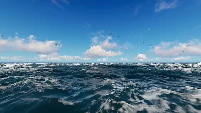 一群海鸥在海面上飞翔视频下载