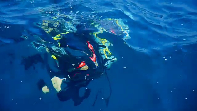 水肺潜水上升水面视频下载