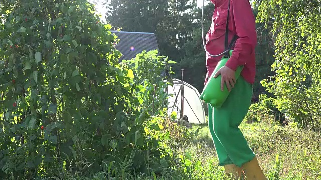 男农民在碧桂园日落喷洒绿豆。FullHD视频下载