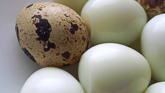 无壳的煮熟鹌鹑蛋和有壳鹌鹑蛋的视频视频下载