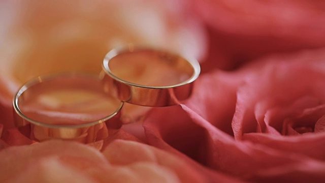 两枚婚戒放在一束红玫瑰上视频素材
