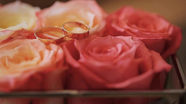 桌上放着橙色玫瑰，上面放着婚戒视频下载