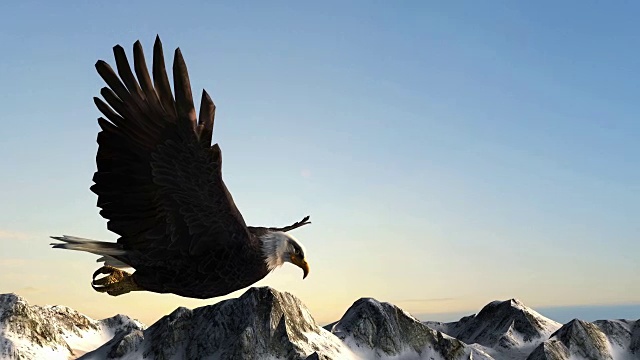 秃鹰飞过群山全景视频素材