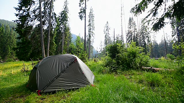 帐篷搭在荒野的森林里视频下载
