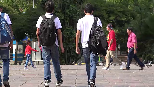 少年学校男孩走路视频素材