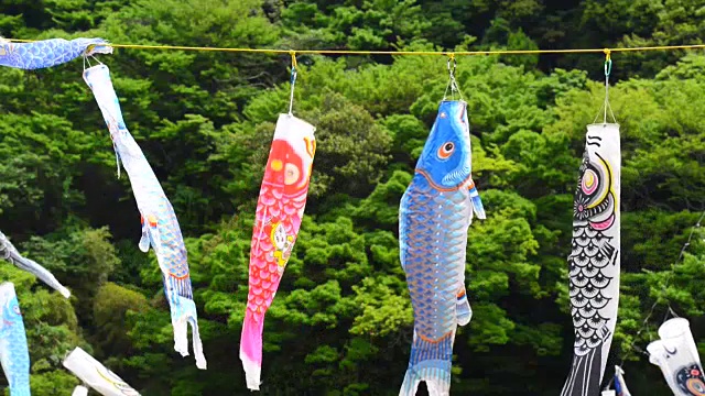 日本传统的鲤鱼形风袜视频素材