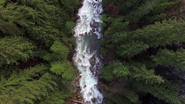 惊人的空中森林河流动与白水急流视频素材