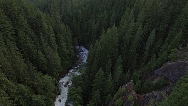 密林河谷河流的回飞天线视频素材