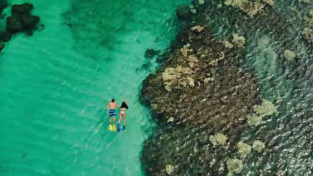 年轻夫妇在热带蓝色海洋浮潜的鸟瞰图视频素材