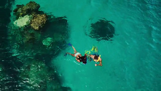 年轻夫妇在热带蓝色海洋浮潜的鸟瞰图视频素材