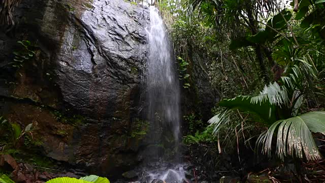 塞舌尔Praslin岛丛林中的隐藏瀑布视频下载