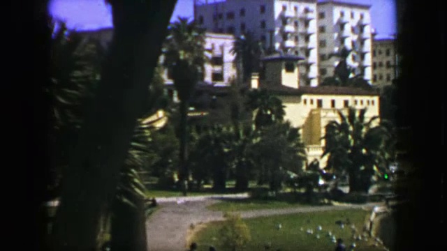 1957年:南加州公园的一名男子在夏日阳光下喂鸟。视频下载