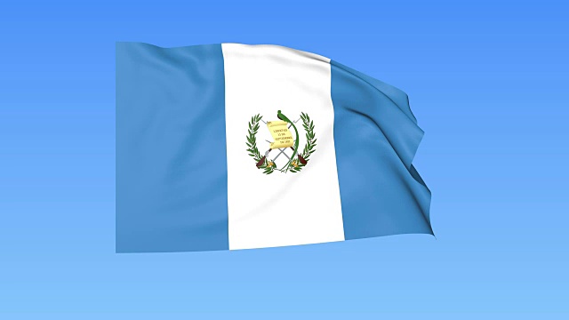 挥舞着危地马拉的旗帜，无缝循环。准确的尺寸，蓝色背景。所有国家的一部分。FullHD视频下载