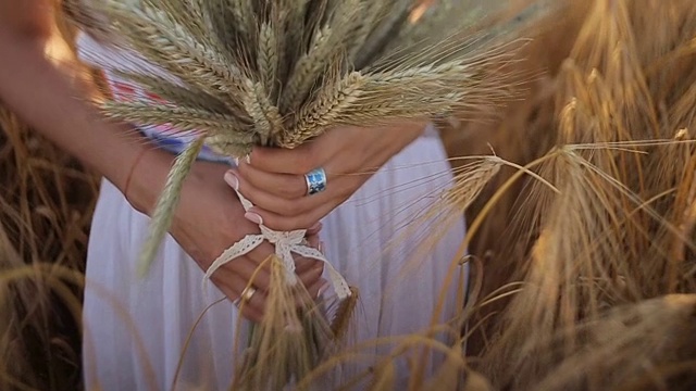 日落时分，一个年轻的女人在田里捧着一串麦穗。慢动作视频素材
