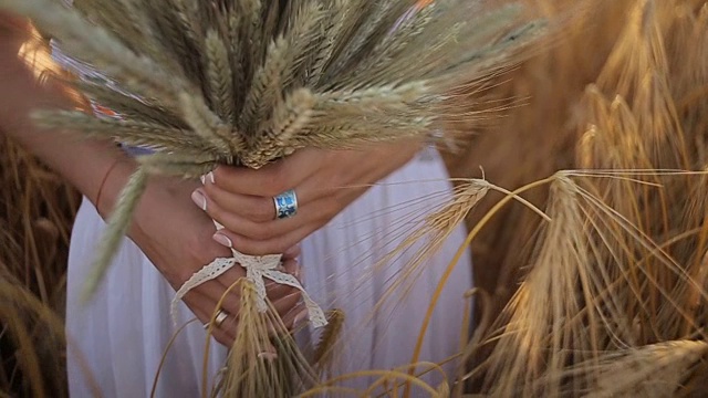 日落时分，一个年轻的女人在田里捧着一串麦穗。慢动作视频素材