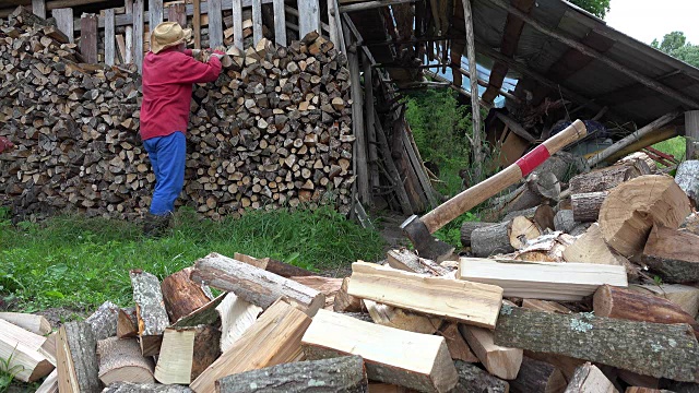 园林工人把砍好的柴火堆在柴棚附近。FullHD视频素材