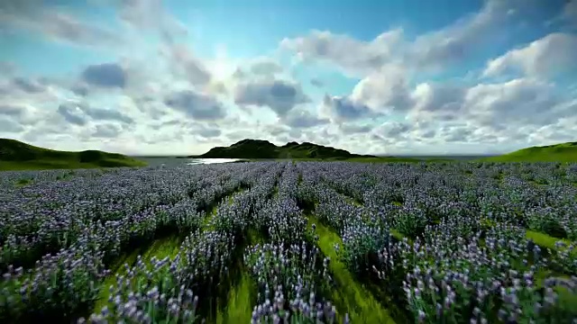 薰衣草田映衬着美丽的云朵，相机飞舞视频素材