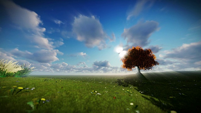 绿茵上的孤树，时光流逝的云视频素材
