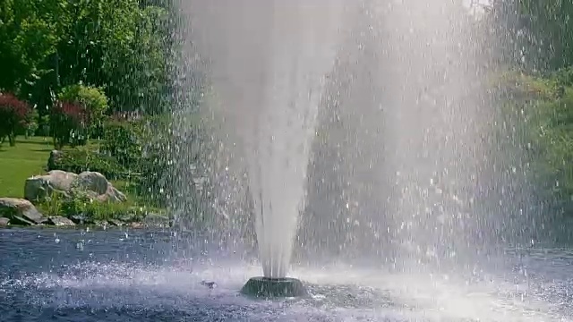 慢动作的喷泉水。高高的喷泉在花园里。喷泉飞溅视频素材