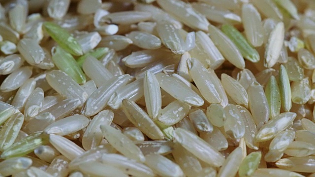 糙米近旋生视频素材