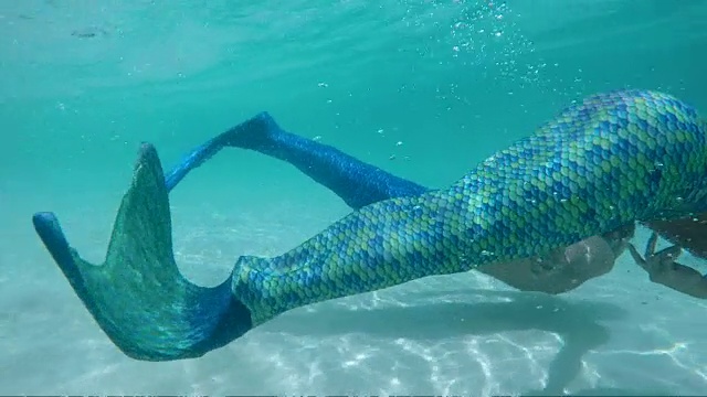 美人鱼夫妇在热带海滩水下游泳视频下载
