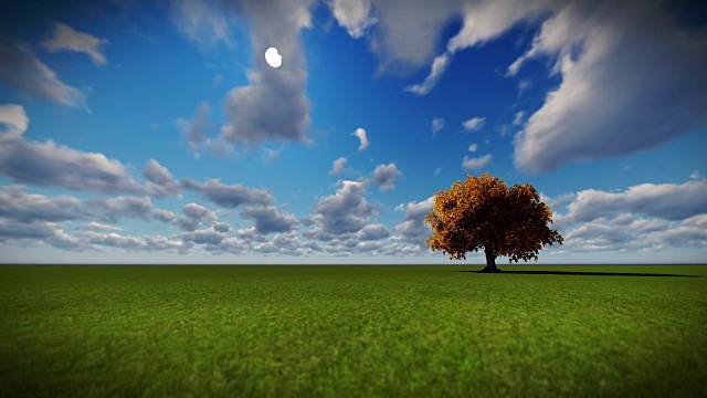 绿油油的草地上孤立的树，时光流逝的云视频素材