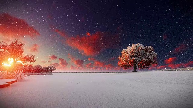 生命之树，雪映衬着美丽的夕阳视频素材