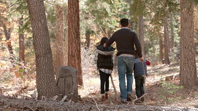父亲带着两个孩子一起在森林里散步，后视镜视频素材