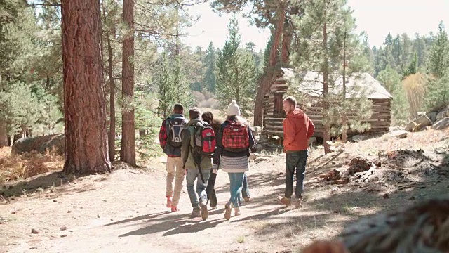 六个朋友走在通往木屋的森林小径上视频素材