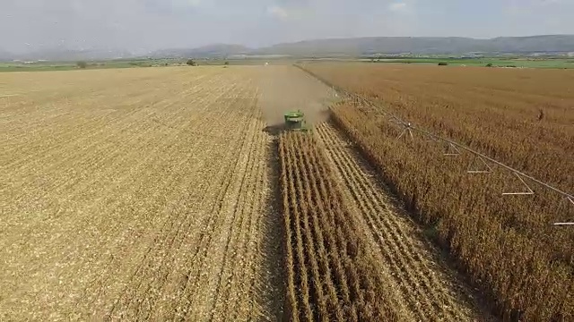 联合收割机收割玉米田的4K鸟瞰图视频素材