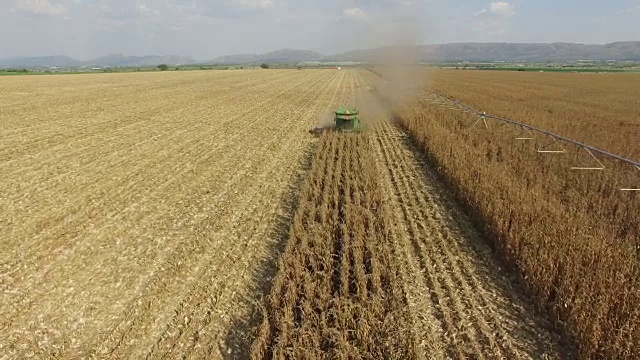 联合收割机收割玉米田的4K鸟瞰图视频素材