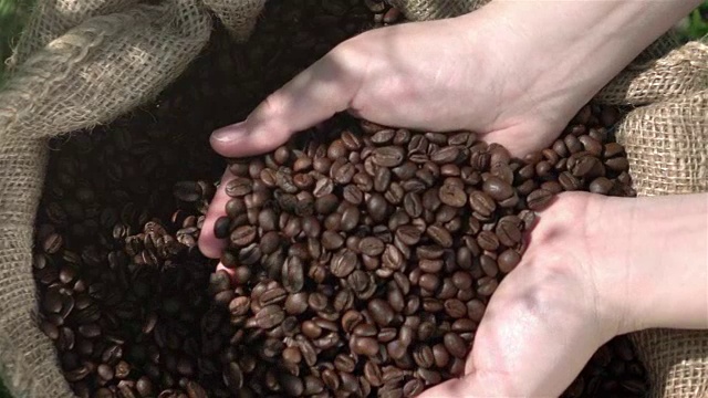 展示咖啡豆的视频-真实1080p慢镜头250fps视频素材