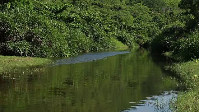 越南富颜省的一条山区河流视频下载