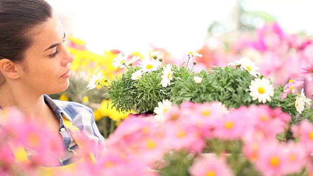 春天微笑的女人闻着花园里的雏菊视频素材