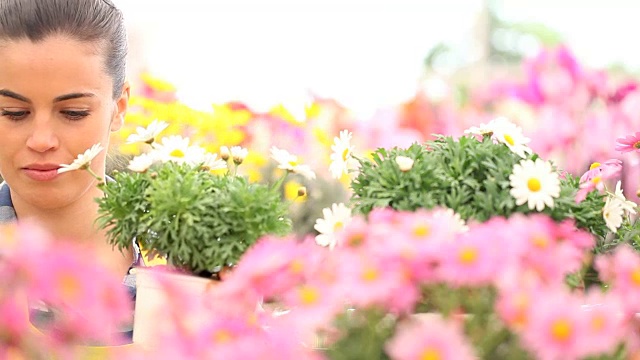 春天，女人的花园里开满了雏菊视频素材