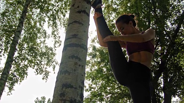 年轻迷人的运动女人做伸展运动附近的桦树在公园的太阳，摄影视频下载