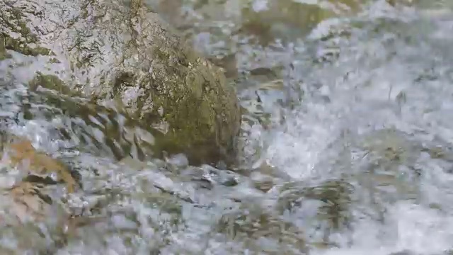 日本东京奥多摩市多摩河的水流视频下载