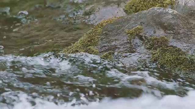 日本东京奥多摩市多摩河的水流视频下载